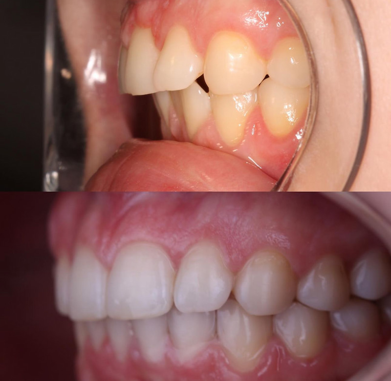 Работы Родионова Елизавета Дмитриевна