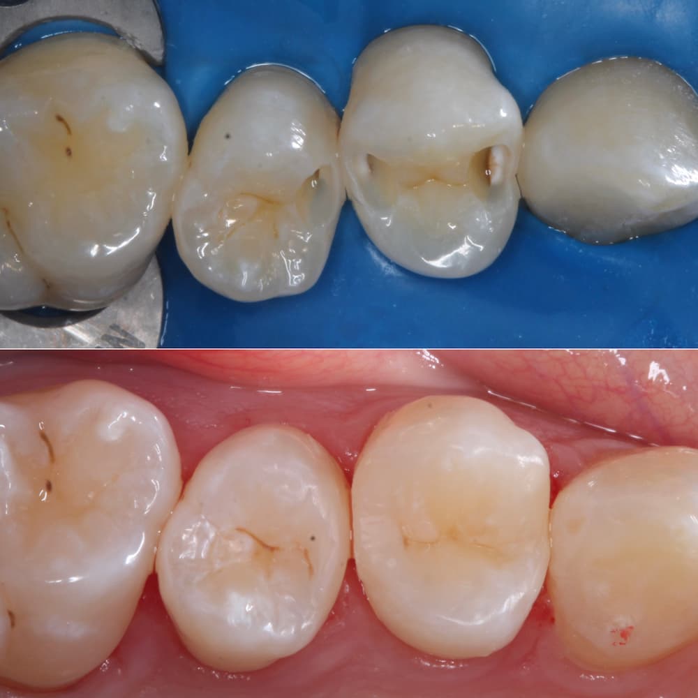 Работы Ким Евгения Вячеславовна
